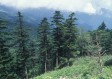 神农架天气预报15天，探秘华中屋脊的四季变幻与出行指南