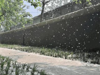 暴雪红色预警拉响，一场覆盖数亿人的极端天气考验
