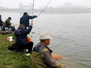 钓鱼天气预报，如何精准把握出钓黄金时机