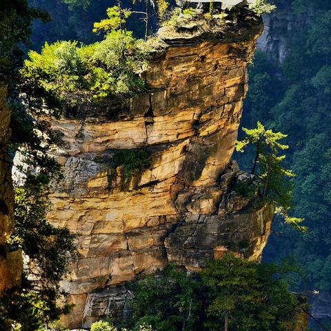 湖北今天天气怎么样?(桑植县今天天气怎么样) 湖北今天天气怎么样?(桑植县今天天气怎么样)