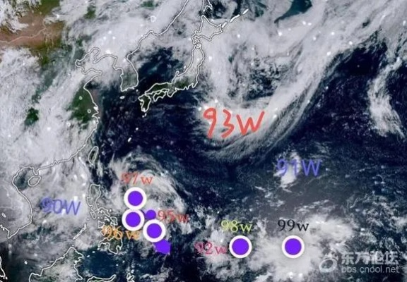 宁波天气台风最新消息（宁波天气台风最新消息新闻）