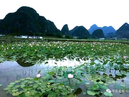 恭城天气，山水间的四季诗篇