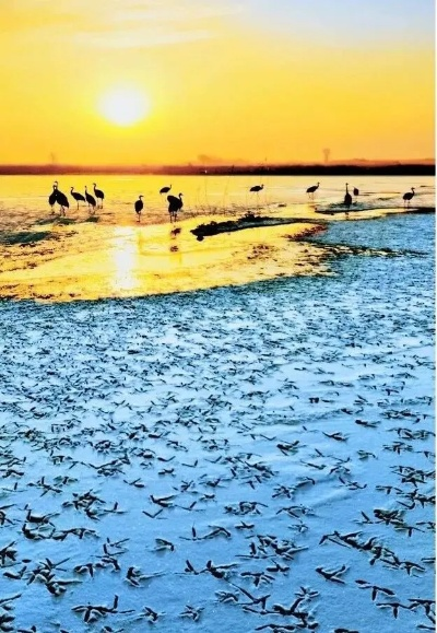 盘锦天气，湿地之都的四季变奏曲