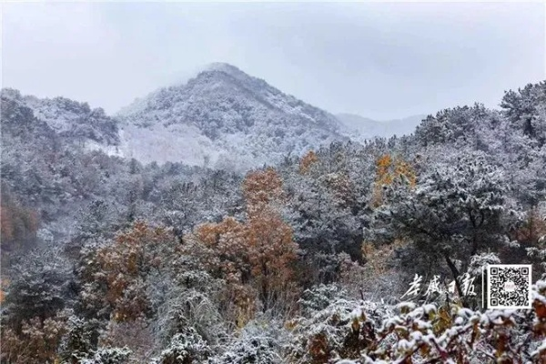 安陆天气,四季流转的诗意与温度 安陆天气,四季流转的诗意与温度