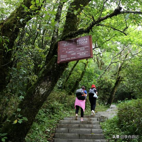 昨天足球比赛比分结果-梵净山天气预报15天，登山前必看的天气指南与旅行建议