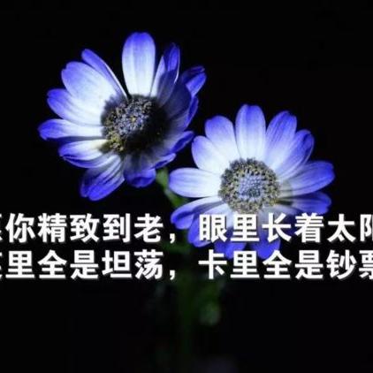 藏在指尖的阴晴冷暖，OPPO手机自带天气软件体验小记