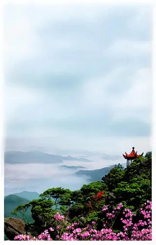 崇义三十日天象探微，从云雾茶香到梯田雨意