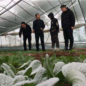 寒潮来袭！最新天气预报发布，全国多地气温骤降，部分地区将迎暴雪