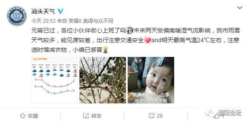 2025年一号台风蝴蝶何时生成?气象专家给出最新预测 2025年一号台风蝴蝶何时生成?气象专家给出最新预测