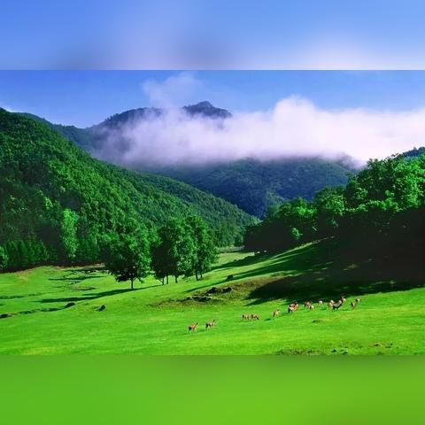 伊春市天气预报，林都天气变化多端，出行请多加留意