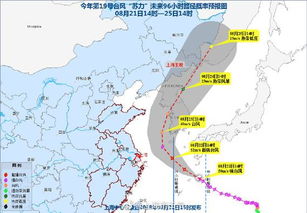 上海台风,风雨中的城市韧性 上海台风,风雨中的城市韧性