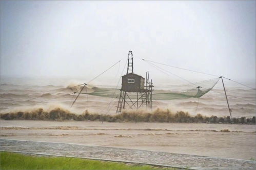 上海台风,风雨中的城市韧性 上海台风,风雨中的城市韧性