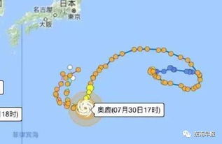 台风路径发布系统，科技守护生命的安全防线