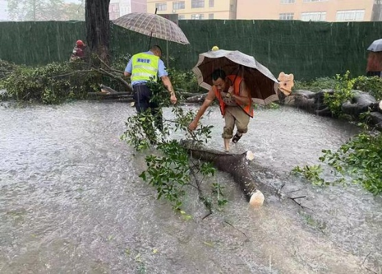 台风最新消息了,风雨中的城市,与那些坚守的身影 台风最新消息了,风雨中的城市,与那些坚守的身影