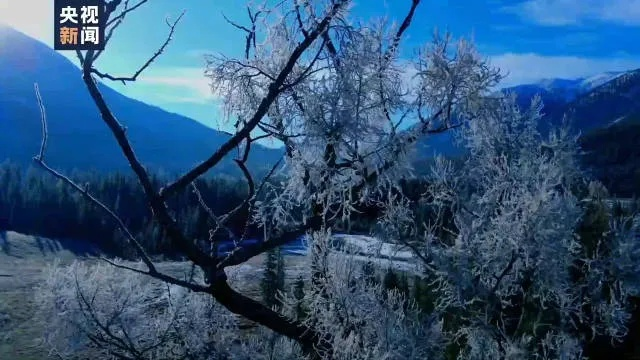 新疆天气，一场四季交响的极致体验