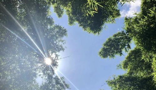 夏天最适合避暑的城市,躲进清凉里,邂逅夏天的另一面 夏天最适合避暑的城市,躲进清凉里,邂逅夏天的另一面