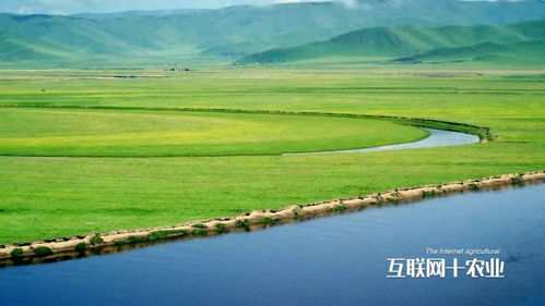 张北天气预报,草原风云的守望者 张北天气预报,草原风云的守望者