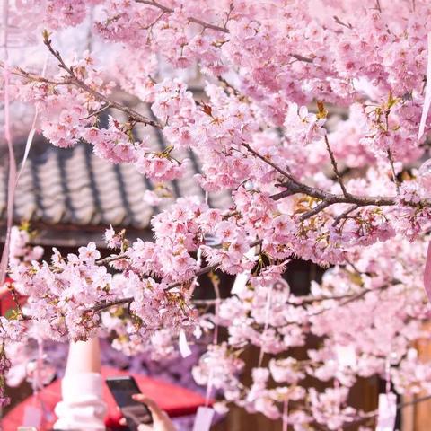 无锡未来10天天气预报，春日多变幻，出行需留意