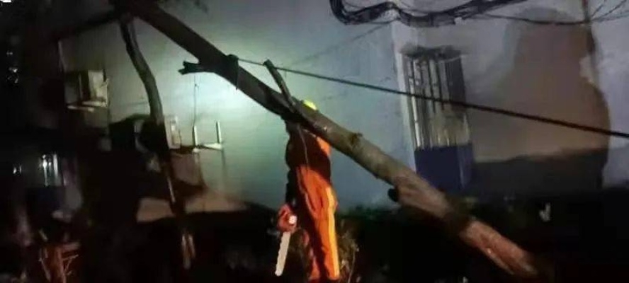风雨中的生命线，台风实时发布如何守护万家灯火