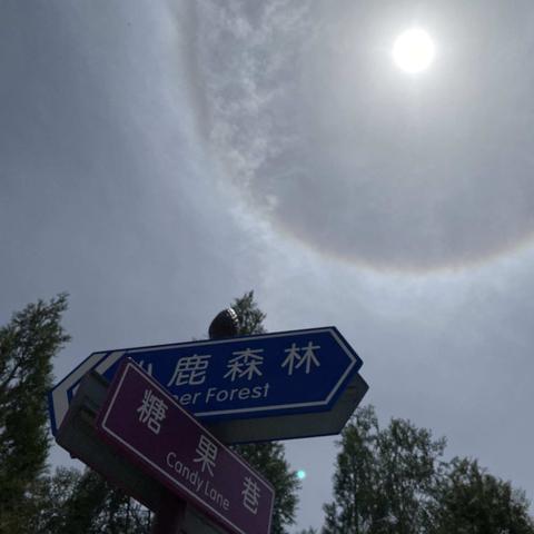 郑州未来15天天气预报,晴热开场,中下旬迎来降雨转折 郑州未来15天天气预报,晴热开场,中下旬迎来降雨转折