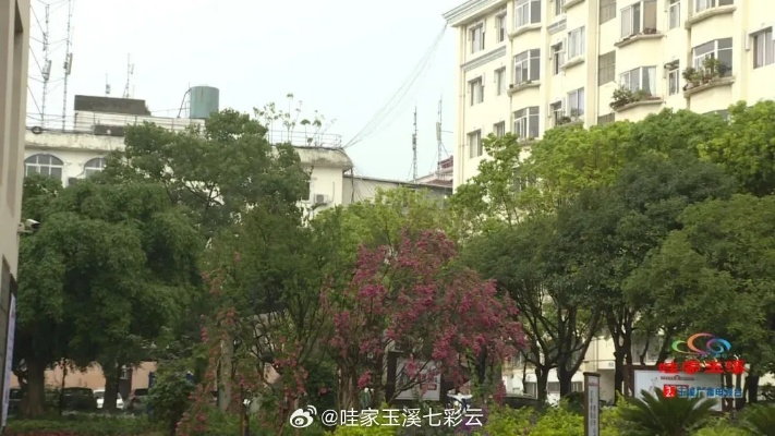 玉溪天气，一城烟雨半城花