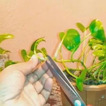 精准到分钟,及时天气预报,让你不再淋雨的下载神器 精准到分钟,及时天气预报,让你不再淋雨的下载神器