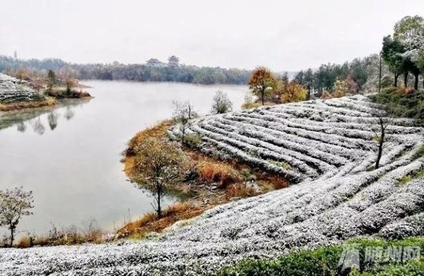 广水天气，四季轮转间的诗意与生活